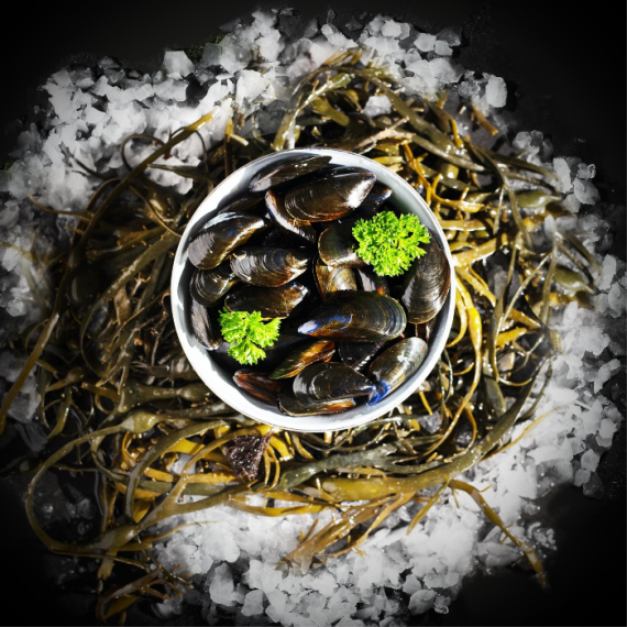 Moules de Bréhat - 1kg