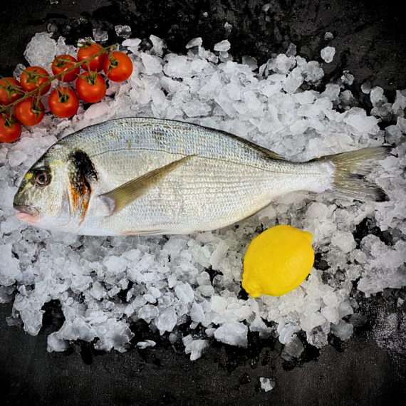 copy of Royal sea bream - 1.2kg