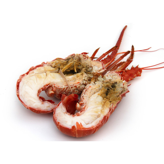 Langouste Royale VIVANTE - Pièce de 900g